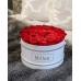 The NoNo Bracket Company Premium Roses| Real Roses That Last a Year | Fresh Flowers| Roses in a White Box - Millan Roses The NoNo Bracket Company Premium Roses| Real Roses That Last a Year | Fresh Flowers| Roses in a White Box - Millan Roses