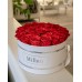 The NoNo Bracket Company Premium Roses| Real Roses That Last a Year | Fresh Flowers| Roses in a White Box - Millan Roses The NoNo Bracket Company Premium Roses| Real Roses That Last a Year | Fresh Flowers| Roses in a White Box - Millan Roses