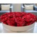 The NoNo Bracket Company Premium Roses| Real Roses That Last a Year | Fresh Flowers| Roses in a White Box - Millan Roses The NoNo Bracket Company Premium Roses| Real Roses That Last a Year | Fresh Flowers| Roses in a White Box - Millan Roses