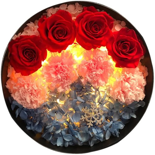 LJ-HUA Eternal Flowers,Luminous Music Box Decoration for Valentine's Day Wedding Mother's Day Birthday Gift to Girlfriend Family Friend Colleague-G LJ-HUA Eternal Flowers,Luminous Music Box Decoration for Valentine's Day Wedding Mother's Day Birthday Gift to Girlfriend Family Friend Colleague-G