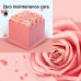 Premium Roses| Real Roses That Last a Year | Fresh Flowers| Roses in a Box (Pink Box, Medium) Premium Roses| Real Roses That Last a Year | Fresh Flowers| Roses in a Box (Pink Box, Medium)